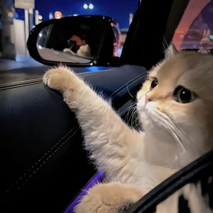 大波美女被大肉棒插
